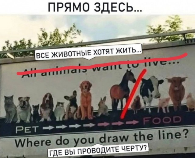 Немного картинок 31.07.25