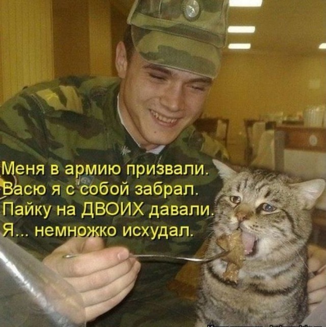 Так себе картинки 01.08.25