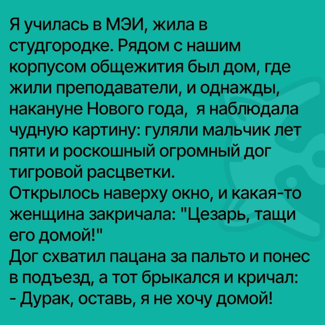 Так себе картинки 08.09.25
