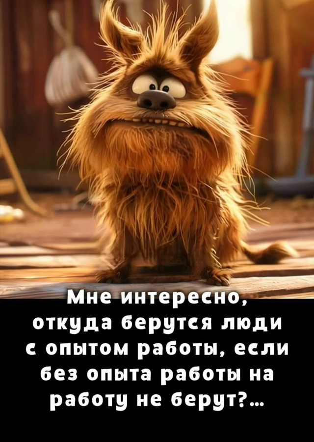Так себе картинки 04.10.25