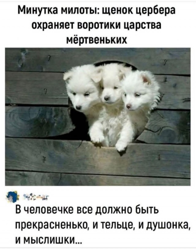 Маленькая пятница