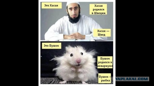 Латвия обязала свыше 800 граждан России покинуть страну до 13 октября