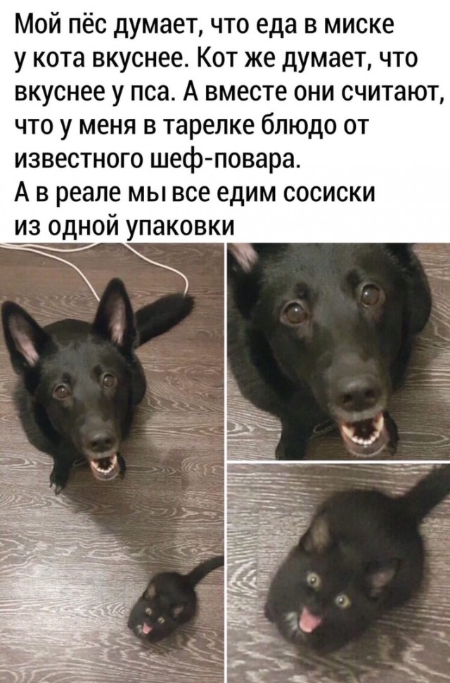 Картиночки, баянчики 31 января