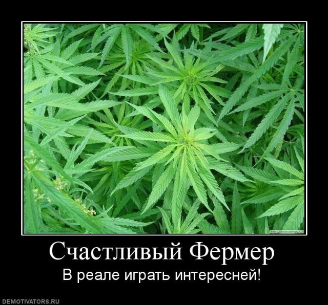 Почему в Советском Союзе под дачи выдавали участки именно в 6 соток?