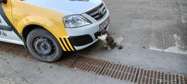 Озеро Абрау
