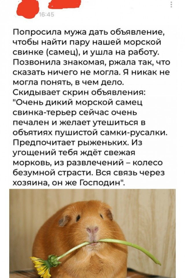 Так себе картинки 13.06.26