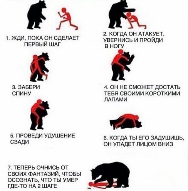 Сила диких животных. Может ли современный крупный мужчина без оружия что то противопоставить яростному нападению хищника?