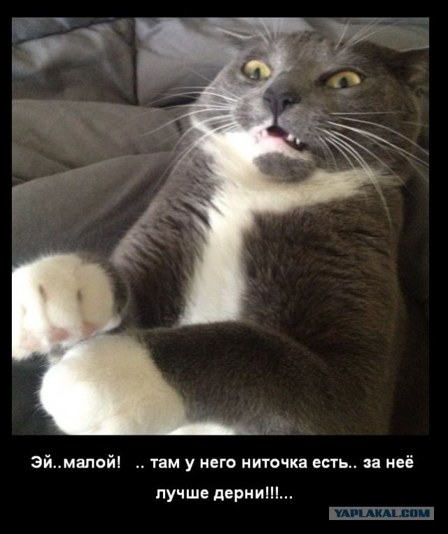 Сейчас каааак жахнет!