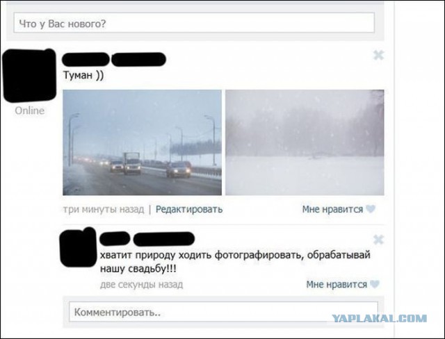 Смешные комментарии из социальных сетей