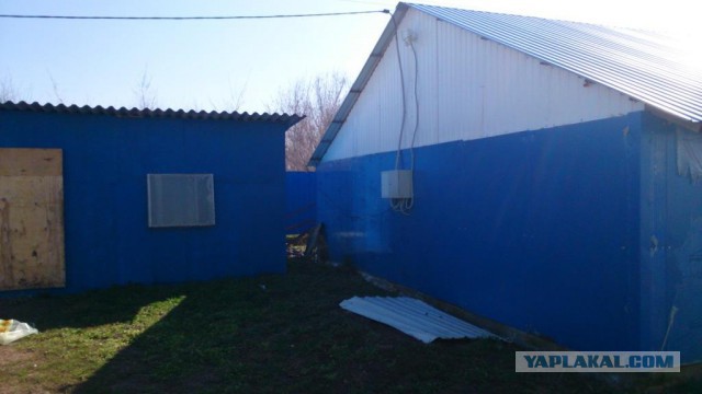 Любителям зелени 2