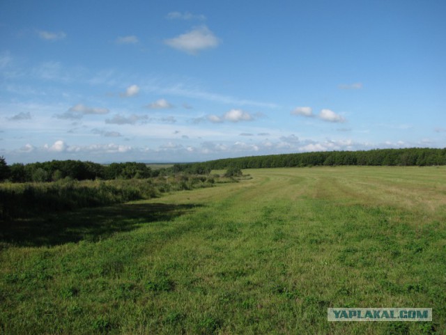 Природа Приморского края