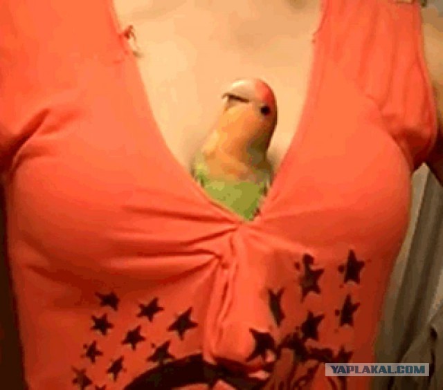 Я хочу замуж