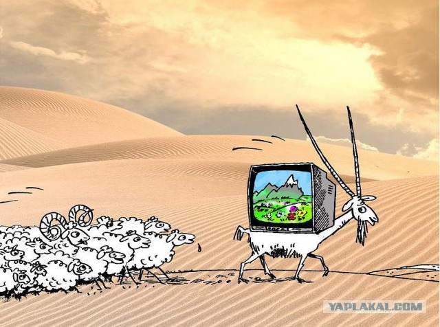 Макаревич о маразме русского народа