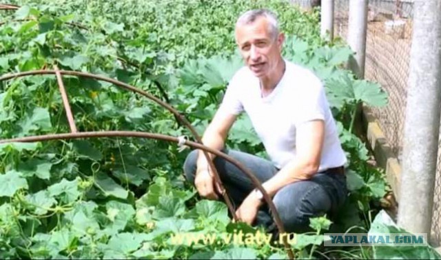 Анонимные секреты людей (Часть II)