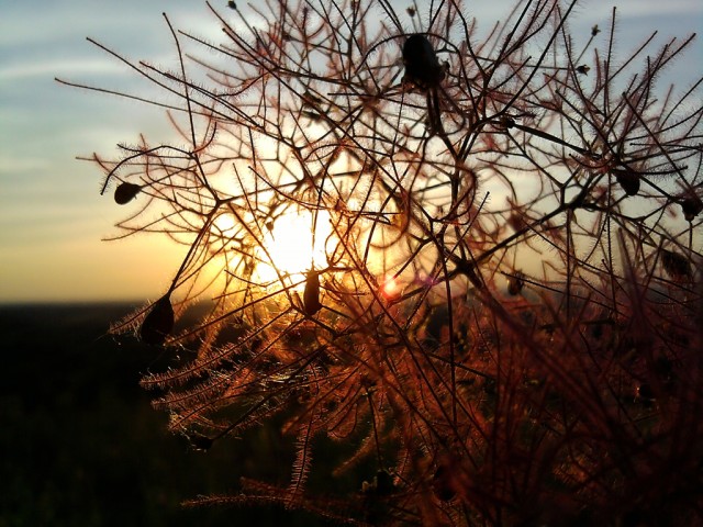 Вот такой вот закат