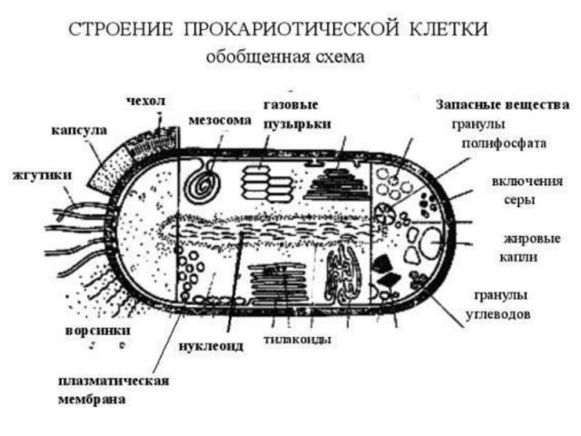 Какая связь у рака и у душевных заболеваний