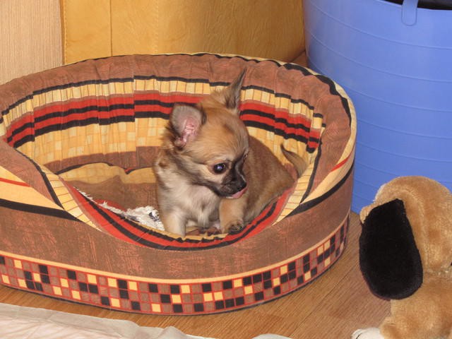 Цобакин четверг