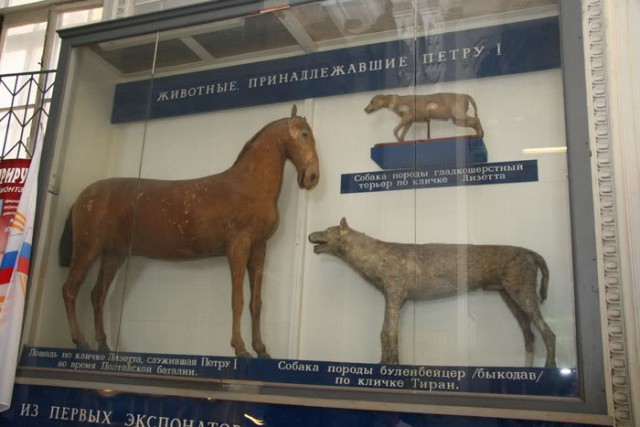 Откуда город?