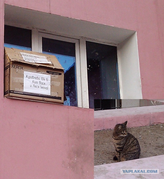 Это Чита, детка)