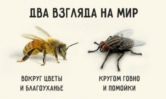 Уралмаш: блеск и нищета "Мадридского" двора