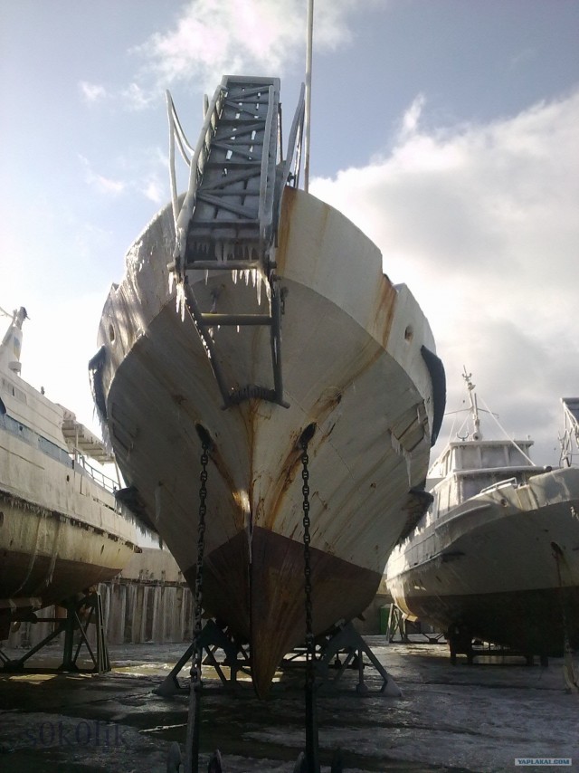 Черное море... замерзло!