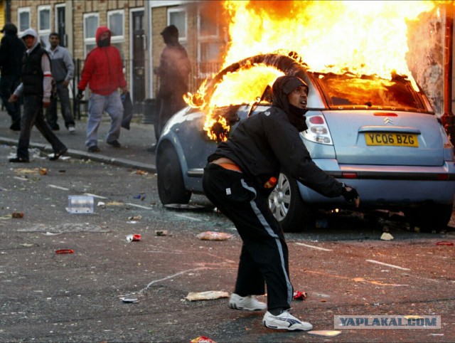Меркель потребовала отменить соцпособия для мигран