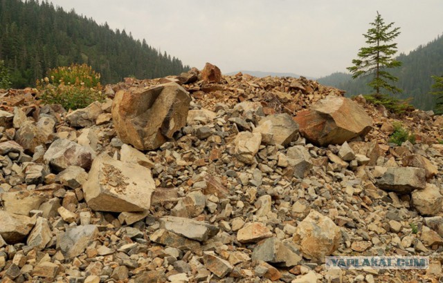 Снайпера и элитные подразделения. Вторая мировая