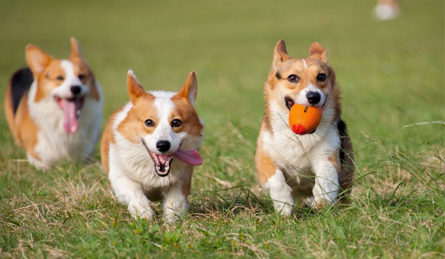 Красивые фото