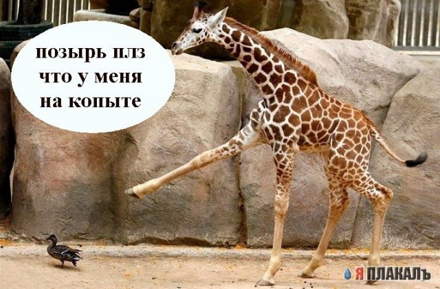 Эй, ты! А ну вон отсюда!