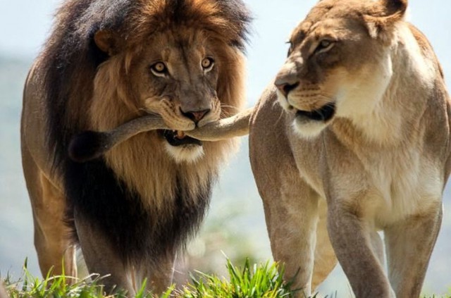 Подборка любопытных фотографий со всего света