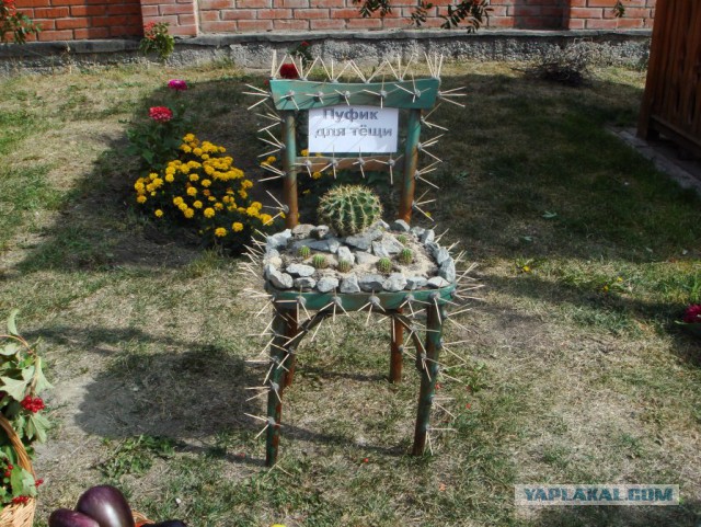 Как правильно есть кактусы + ловля карася в пустыне