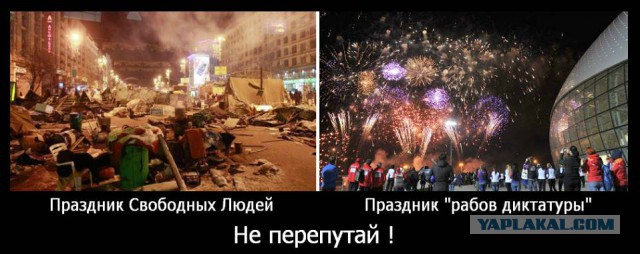 Они все рабы, стоят на коленях