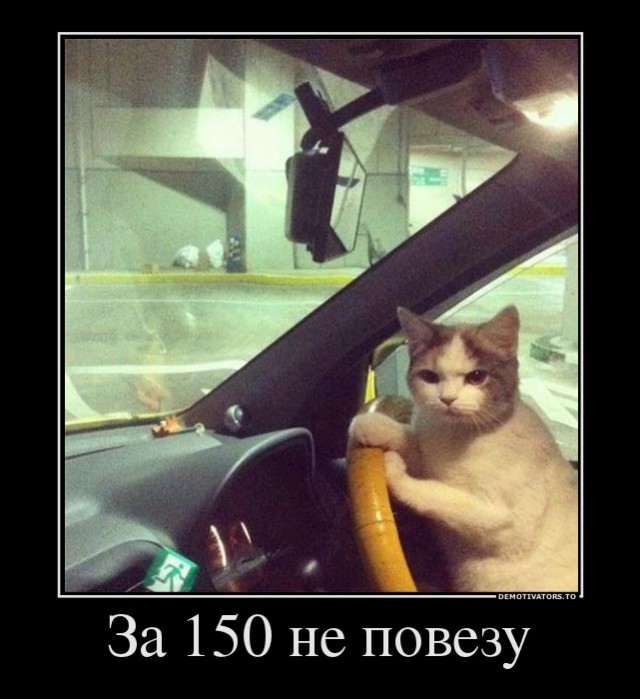 Два десятка картинок для позитивного настроения!