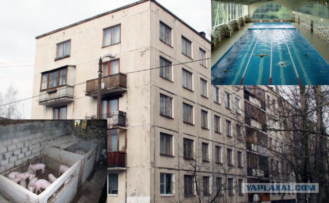 ИГРА: угадай ЯПовца