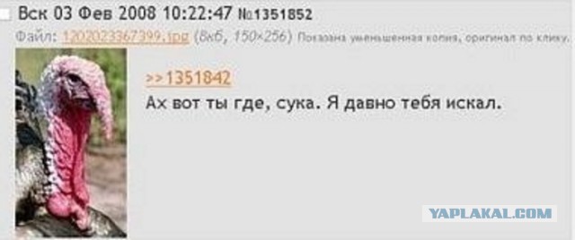 Каста неприкосновенных айтишников
