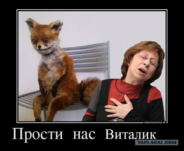 Жена изменяет? Или нет?