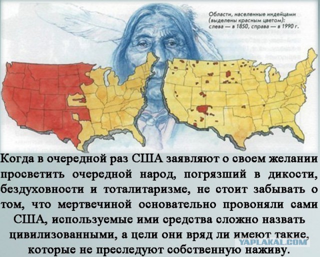 В России появятся частные леса