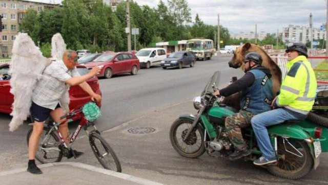Смешные и не очень картинки из этих ваших интернетов