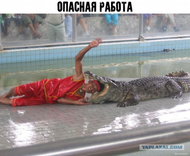 Нестандартный юмор