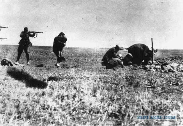 Чтобы вы не забыли, что такое фашизм