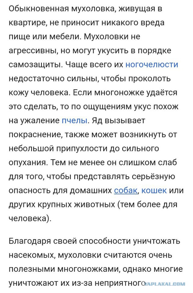 Страшный, но полезный гость