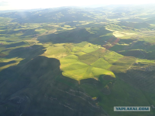 Креветки, Кампари и свиная икра
