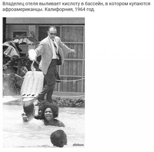 Обезьяны