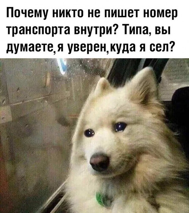Аморалка