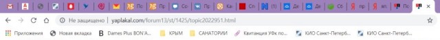 Помогите вернуть кота! Приют "Преданное сердце" украл кота и не отдает!