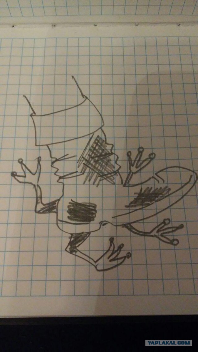 Мужчины умнеют. Женщины негодуют