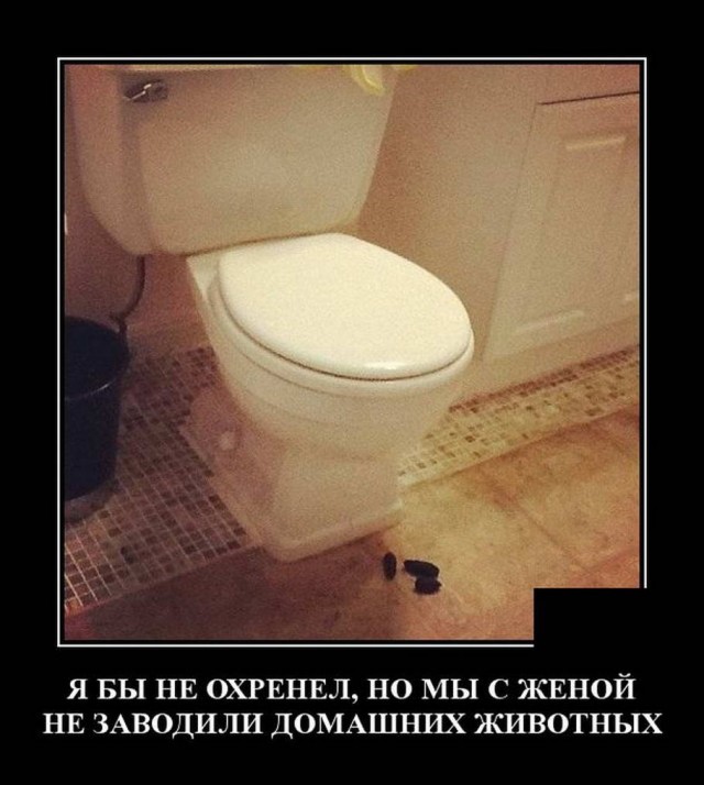 Бредзона 21.06.2020