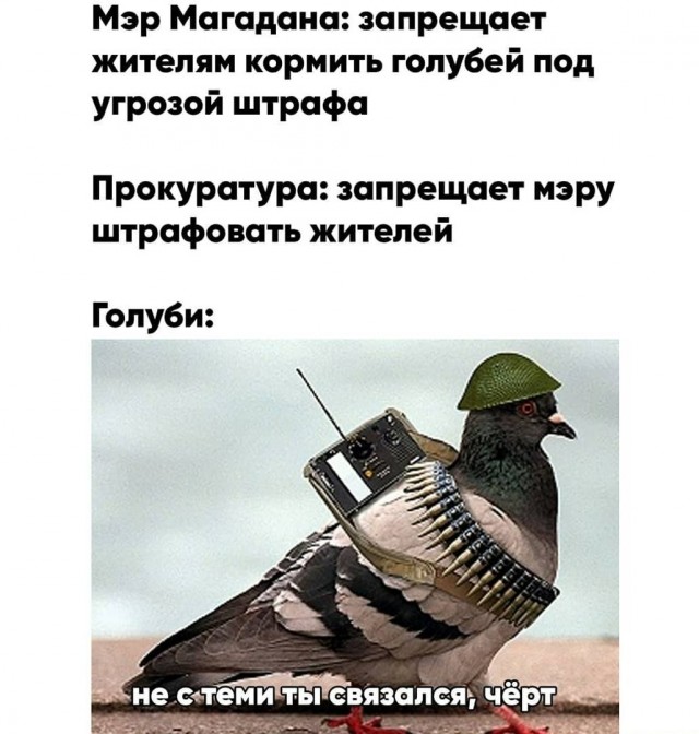 Юмор в картинках 29.07.20