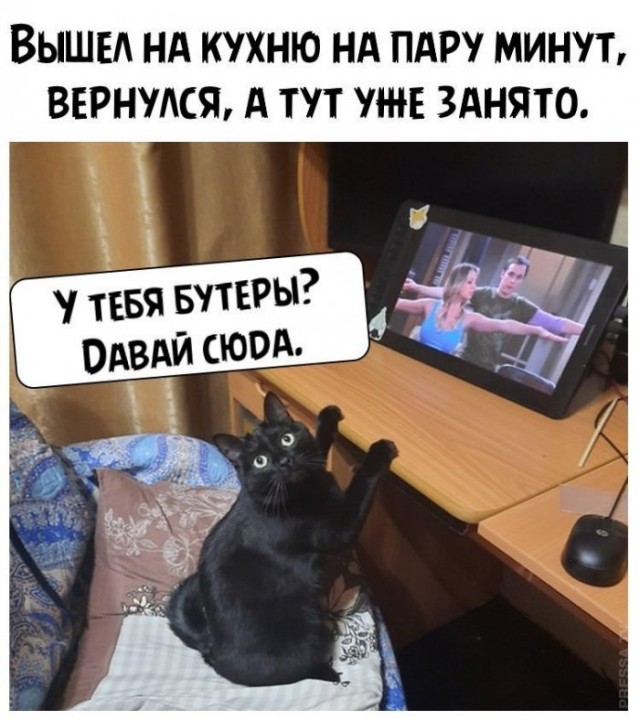 Немного картинок для настроения 10.09.20