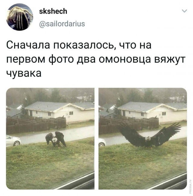 Картинки и мемы для настроения 010